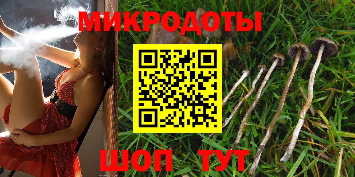 Псилоцибиновые грибы Magic Shrooms  Псилоцибиновые грибы Psilocybine cubensis  Топки 