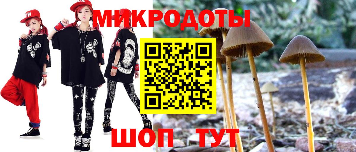 Галлюциногенные грибы Psilocybine cubensis Топки