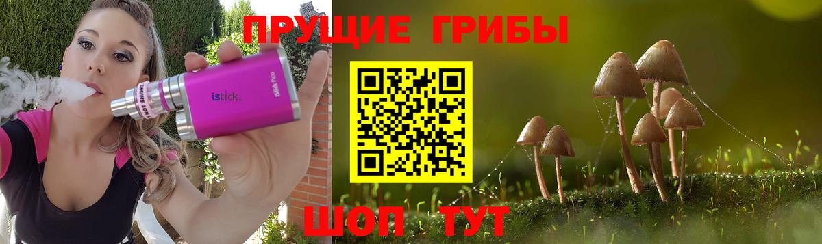 Псилоцибиновые грибы Cubensis Топки